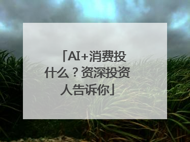 AI+消费投什么？资深投资人告诉你