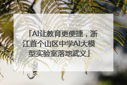 AI让教育更便捷，浙江首个山区中学AI大模型实验室落地武义