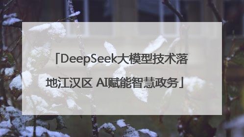 DeepSeek大模型技术落地江汉区 AI赋能智慧政务